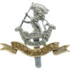 Duke of Wellington's (West Riding) Regiment Anodised (Staybrite) Cap Badge