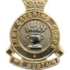 Army Catering Corps Anodised (Staybrite) Cap Badge
