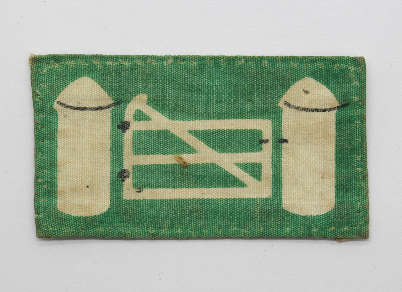 Northern Ireland District Printed Formation Sign (2nd Pattern)