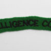 Intelligence Corps (INTELLIGENCE CORPS) Cloth Shoulder Title