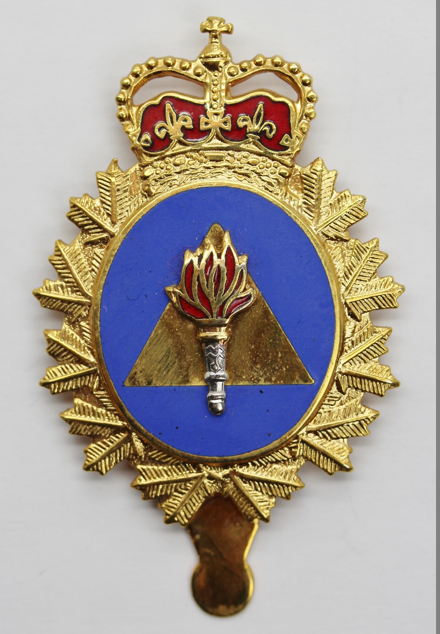 Canadian Forces Training Development Branch Cap Badge