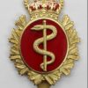 Canadian Forces Medical Branch Cap Badge