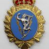 Canadian Forces Communications & Electronics Branch Cap Badge 