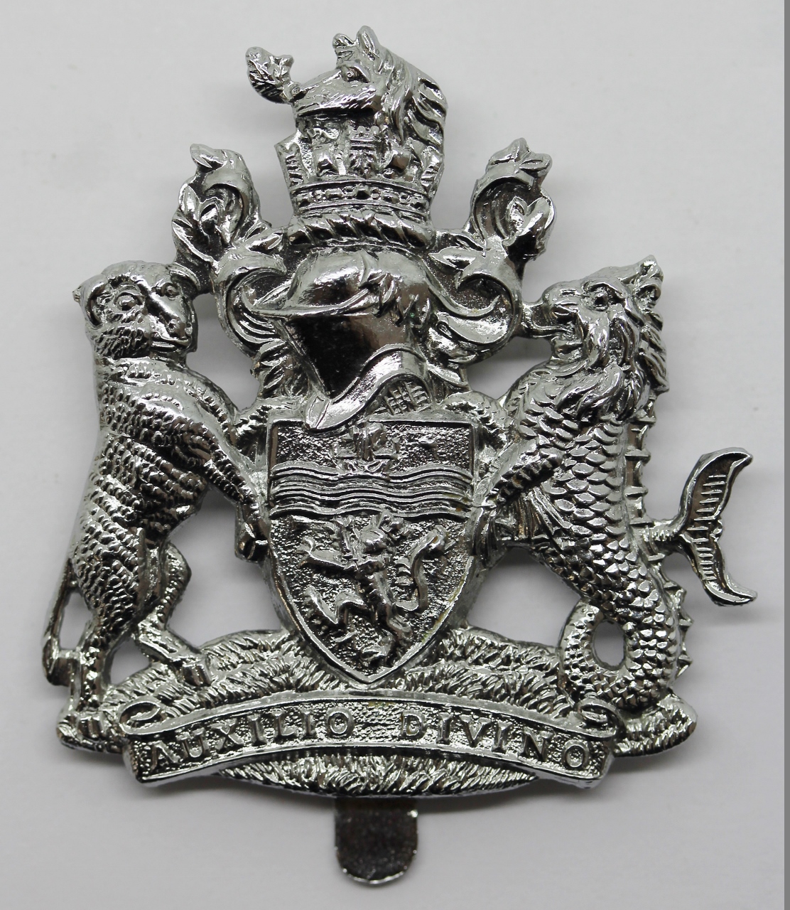 Devon & Exeter Joint Constabulary Cap Badge