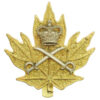 Canadian Army Physical Training Corps Cap Badge