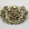 Royal Hampshire Regiment Anodised (Staybrite) Collar Badge
