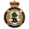 Berwick County Special Constable Enamelled Lapel Badge