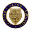 Devon Special Constabulary Special Constable Enamelled Lapel Badge