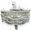 Gloucestershire Regiment Anodised (Staybrite) Cap Badge
