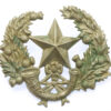 Cameronians (Scottish Rifles) Cap Badge