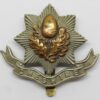 Cheshire Regiment Cap Badge