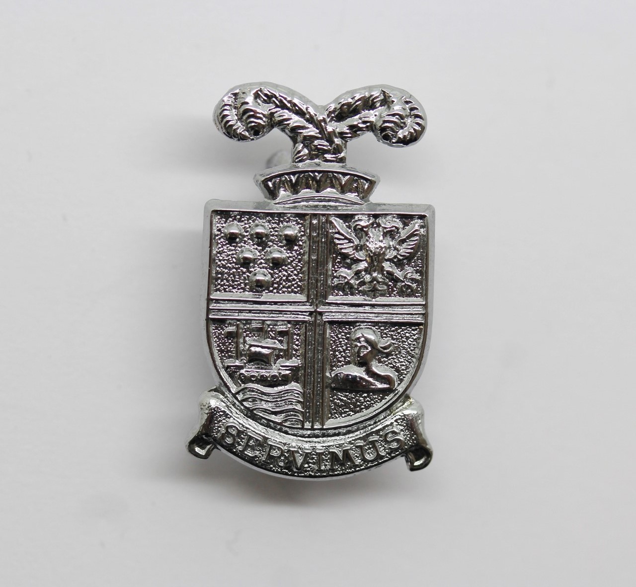 Falmouth Docks Police Collar Badge
