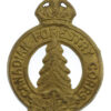 Canadian Forestry Corps Cap Badge - King's Crown