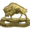 Canadian 12th Manitoba Dragoons Cap Badge