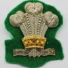 Royal Regiment of Wales Bi-Metal Cap Badge