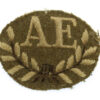 British Army Ammunition Examiner (A.E.) (Royal Army Ordnance Corps) Cloth Proficiency Arm Badge