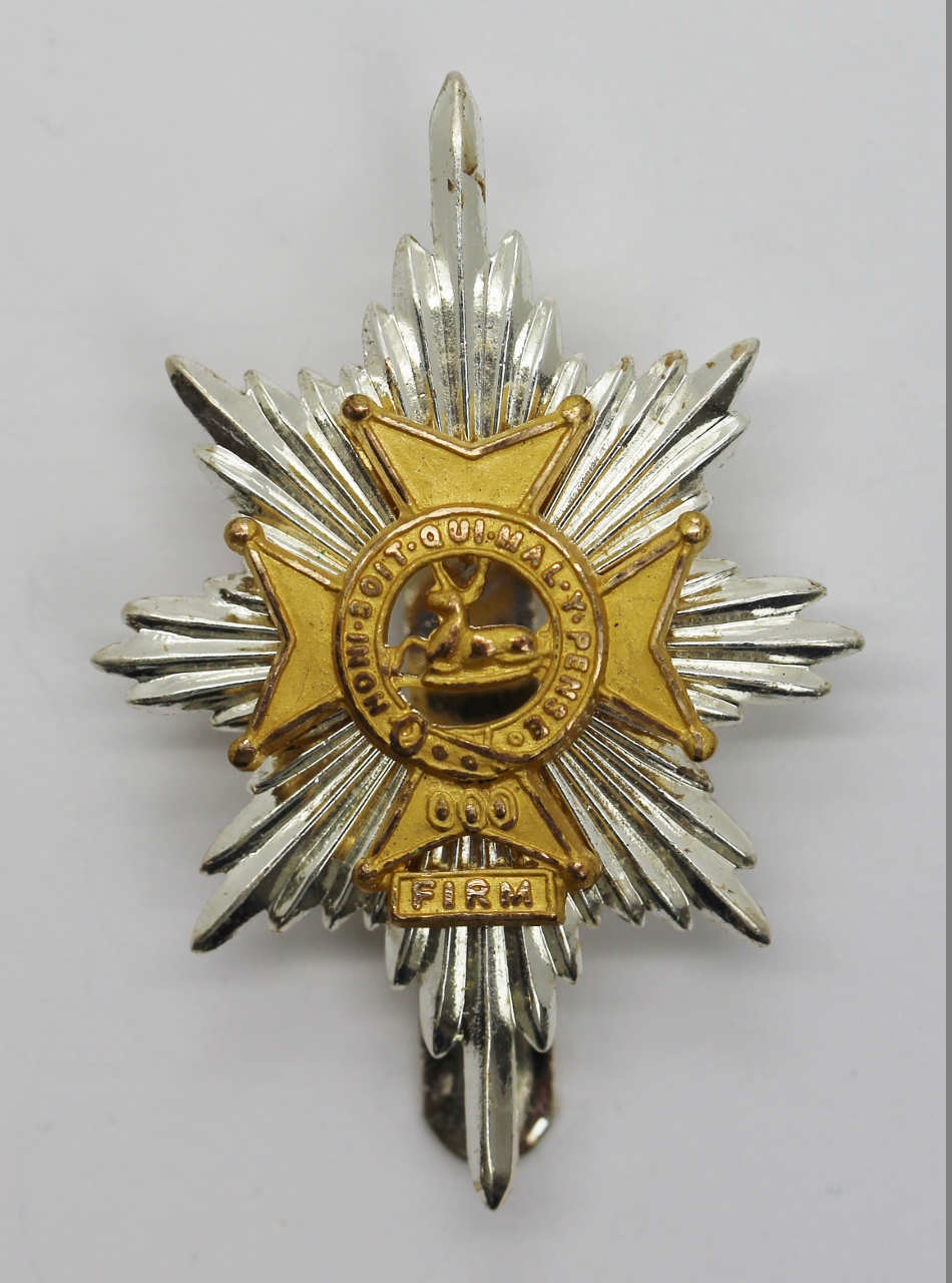 Worcestershsire & Sherwood Foresters Cap Badge (Bi-metal)