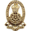 Queen's Lancashire Regiment Anodised (Staybrite) Cap Badge