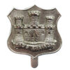 Dorsetshire Territorials Anodised (Staybrite) Cap Badge