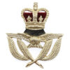 Royal Air Force (R.A.F.) Warrant Officer's Anodised (Staybrite) Cap Badge - Queen's Crown