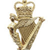 Ulster Defence Regiment Anodised (Staybrite) Cap Badge - Queen's Crown