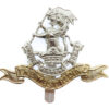 Duke of Wellington's (West Riding) Regiment Anodised (Staybrite) Cap Badge
