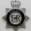 Dorset Police Senior Officer's Enamelled Cap Badge - Queen's Crown