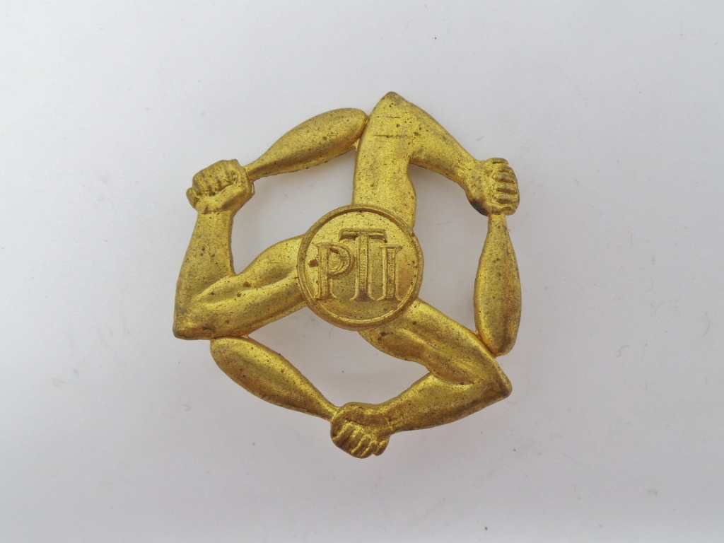 Royal Air Force Physical Training Instructors Arm Badge