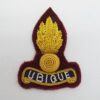 23 Parachute Engineers Regiment (R.E.) Officers Bullion Beret Badge