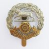 Hampshire Regiment Cap Badge