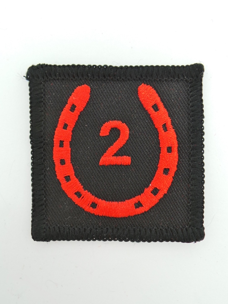 2 Signal Group Royal Signals Cloth Formation Sign