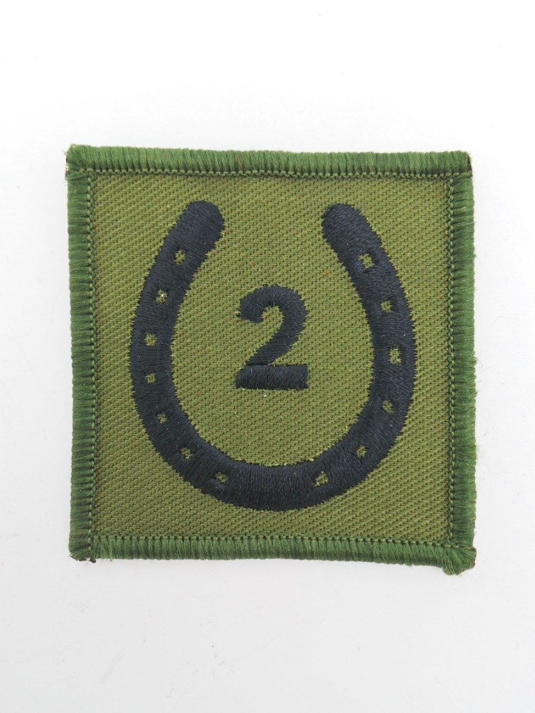2 Signal Group Royal Signals Cloth Formation Sign (Combat)