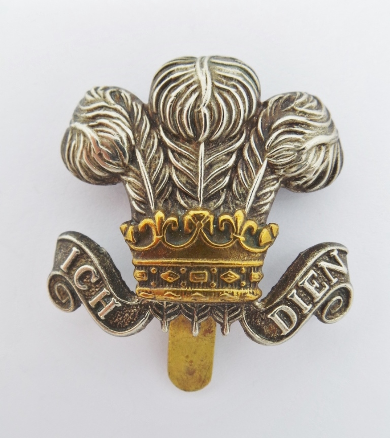 Wiltshire Yeomanry Cap Badge