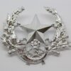 Cameronians (Scottish Rifles) Anodised (Staybrite) Cap Badge