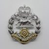 Royal Hampshire Regiment Anodised (Staybrite) Cap Badge