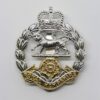 Royal Hampshire Regiment Anodised (Staybrite) Cap Badge - Queen's Crown
