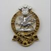 Queen's Royal Regiment Anodised (Staybrite) Cap Badge