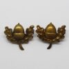 Pair of Cheshire Regiment Collar Badges