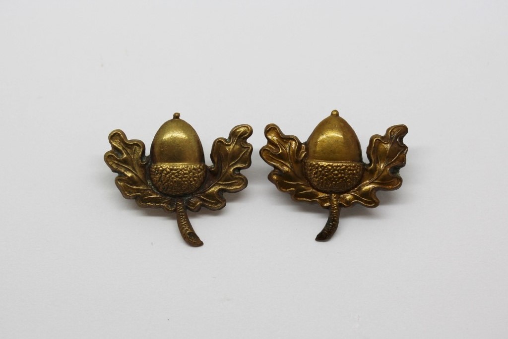 Pair of Cheshire Regiment Collar Badges