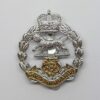 Royal Hampshire Regiment Anodised (Staybrite) Cap Badge - Queen's Crown
