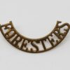 Notts & Derby Regiment (FORESTERS) Shoulder Title