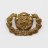 Hampshire Regiment Collar Badge