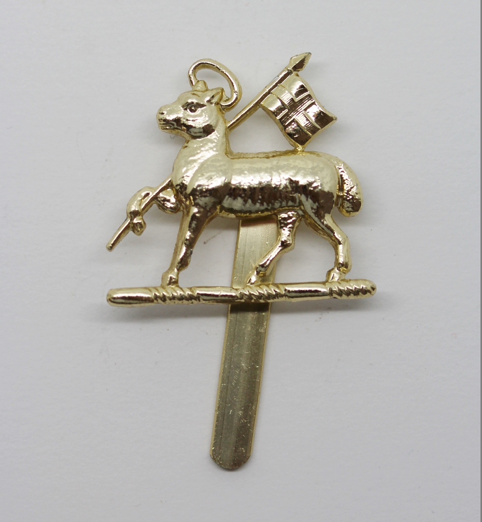 Queen's (Royal West Surrey) Regiment Anodised (Staybrite) Beret Badge