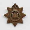 Devonshire Regiment WW2 Plastic Economy Cap Badge