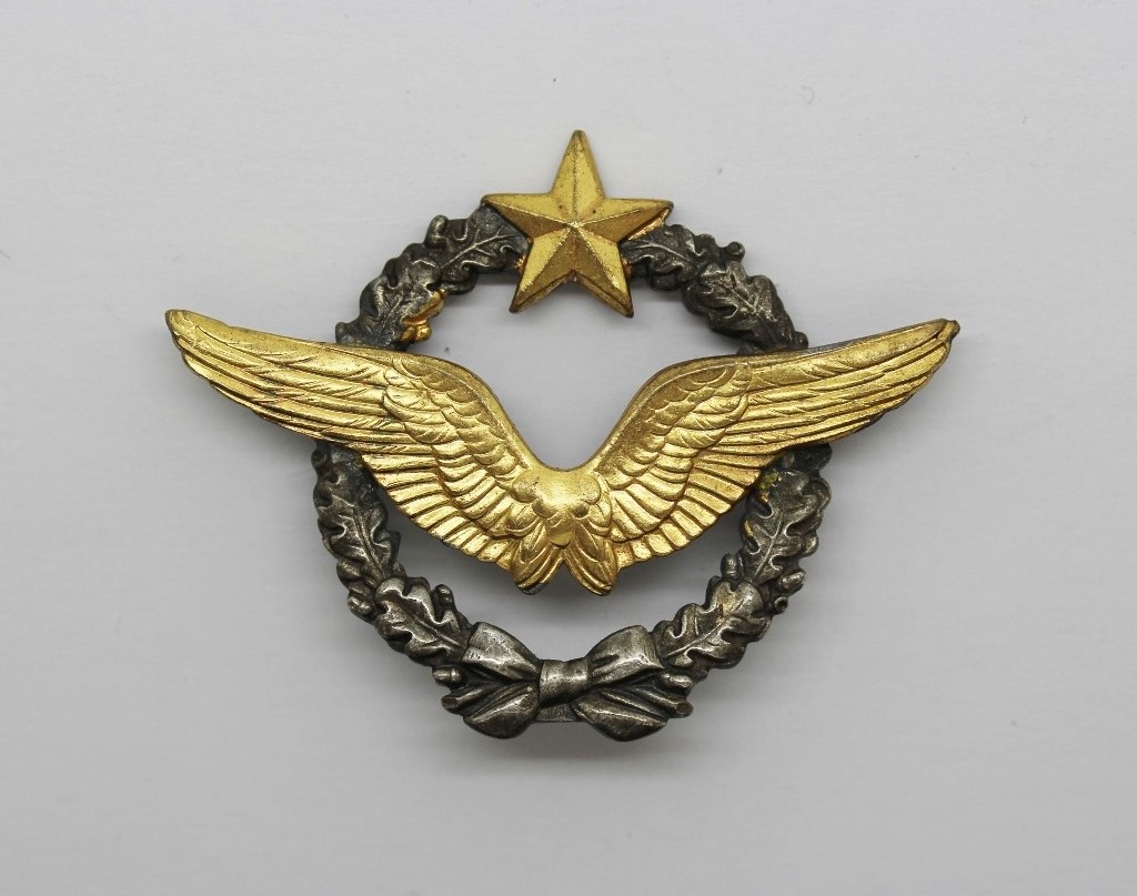 French Air Force Pilot Wings