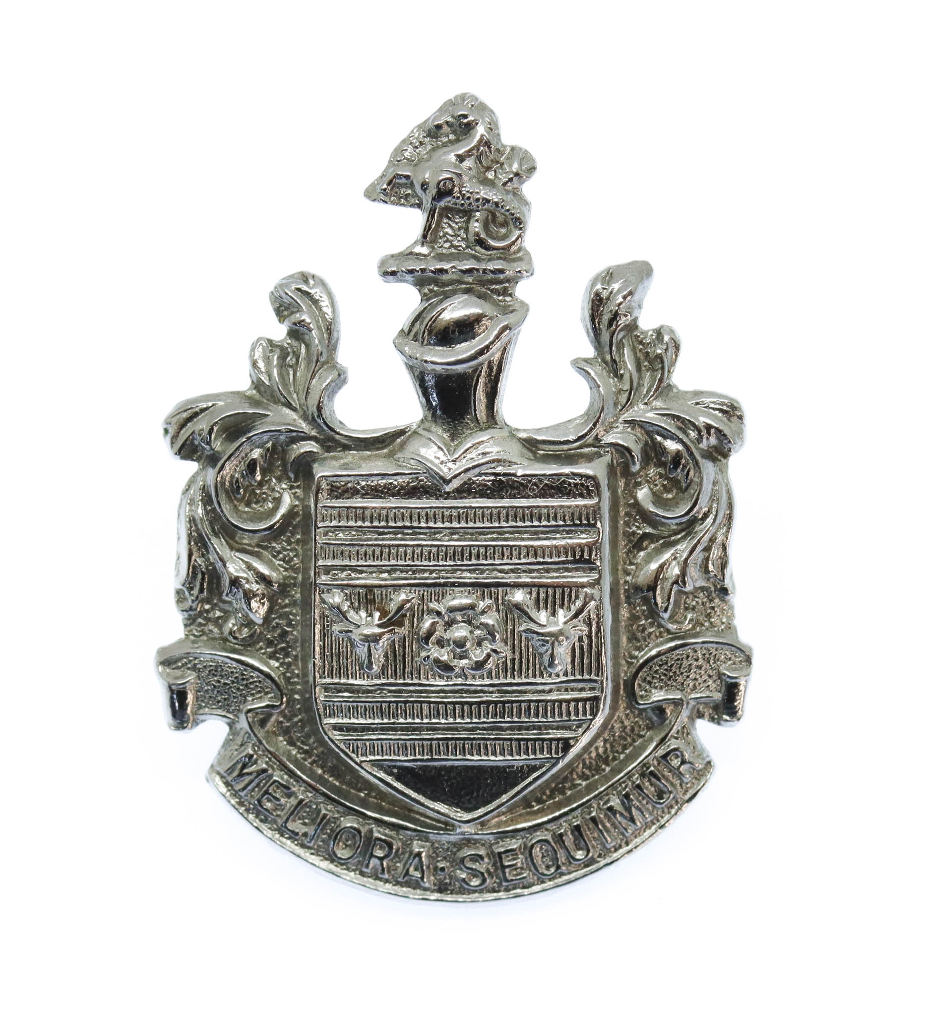 Eastbourne Borough Police Collar Badge