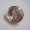 Worcester City Police Button
