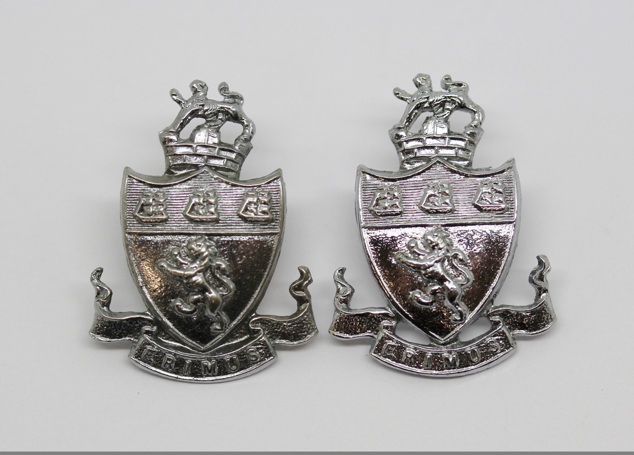 Pair of Middlesbrough Borough Police Collar Badges