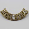 Royal Berkshire Regiment (ROYAL BERKS) Shoulder Title