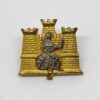 1st Battalion Royal Anglian Regiment Officer's Collar Badge